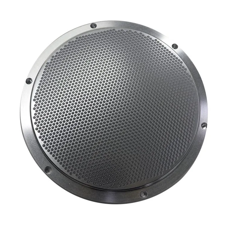 0020-30797 ছিদ্রযুক্ত প্লেট শাওয়ার হেড